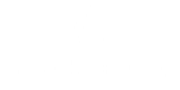 Mi tienda